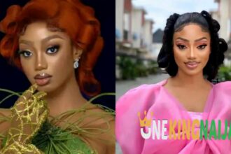 “It’s funny seeing a lot of housemates that sw0re with their lives that they’d never go back for Big Brother…” - BBNaija Christy O