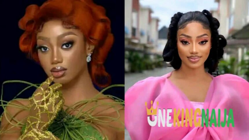 “It’s funny seeing a lot of housemates that sw0re with their lives that they’d never go back for Big Brother…” - BBNaija Christy O