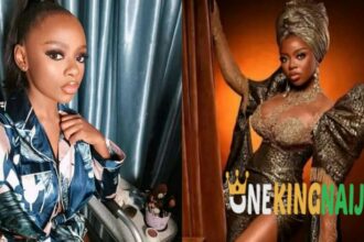 "Why I'm Not Interested In BBNaija All Stars Show" - Former BBNaija's Star, Diane Russet