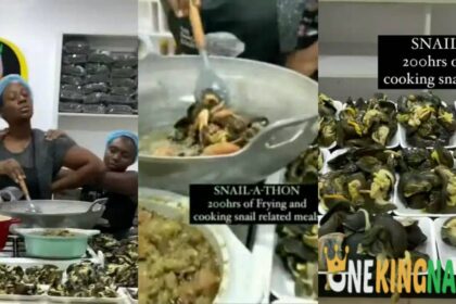 "This GWR book go tear las las"- Nigerians reacts as Lady begins 200 Hours Snail-a-thon (VIDEO)