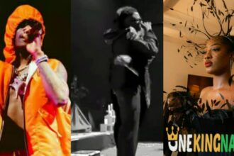 "Baba dey avoid pregnancy ni "- Fan reacts as Wizkid snubs Tems' onstage hug, at 'Essence' Festival (VIDEO)
