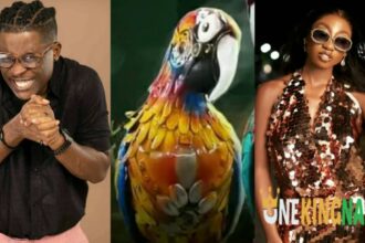Watch the moment Biggie's parrot exposes Seyi's gossip about Doyin, claiming she's a product of a f@iled upbringing (VIDEO)