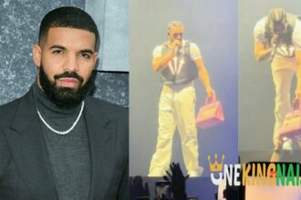 Video trends as rapper Drake gifts female fan a birkin bag worth N23M at his LA concert [Watch]