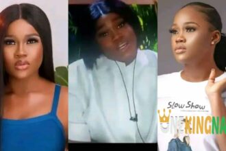 BBNaija All Stars: Ceec Reveals Housemates She Wants To See In The Finale (Video)