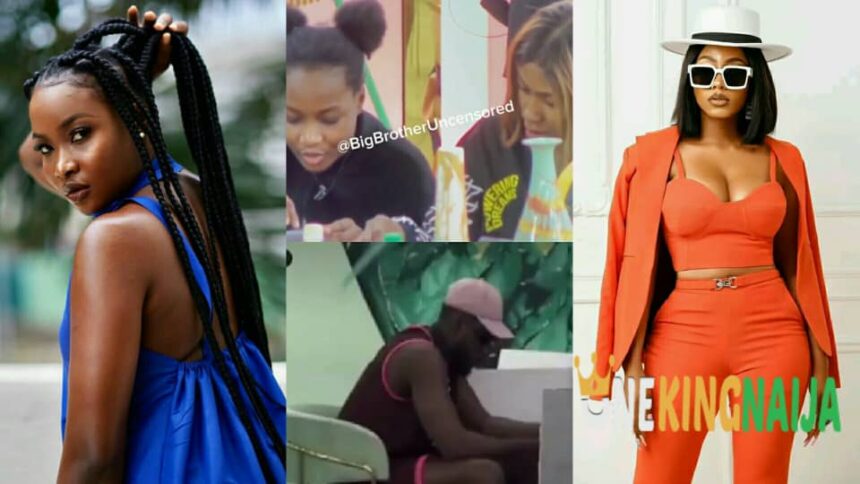 "Shut your tr@p!!! Stop playing the v!ctim"- HOH Ilebaye, Soma & Mercy Eke cl@sh during wager preparation (VIDEO)
