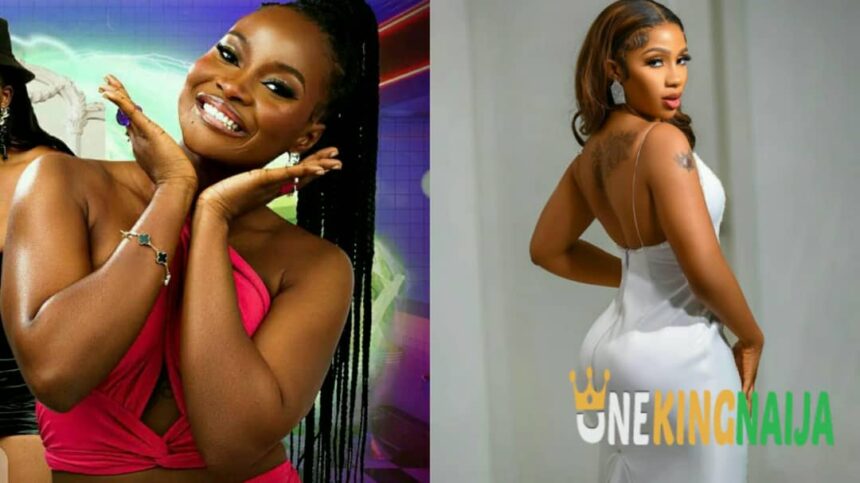 Nigerians hails Ilebaye as she turned down Mercy Eke's advise on BBL (VIDEO)