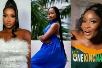 "I am not perfect but I will strive to give my best" - Ilebaye assures her fans