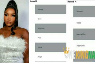 "Ilebaye Nor Be Their Mate"- Reactions As Consolidated Voting Results Of The BBNaija All Stars Season Gets Released By Multichoice, Check It Out (Details)