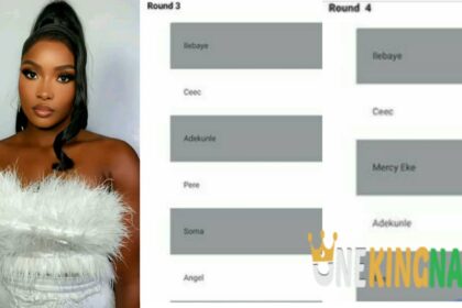 "Ilebaye Nor Be Their Mate"- Reactions As Consolidated Voting Results Of The BBNaija All Stars Season Gets Released By Multichoice, Check It Out (Details)