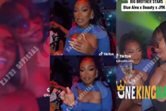 "Positive Vibes Only"- Blue Aiva hangs out with Big Brother Naija Stars, Beauty Tukura, JMK and Others, Video trends (WATCH)