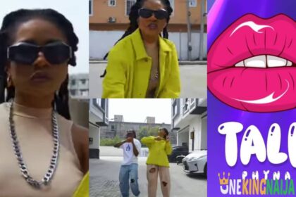 "This song enter oh"- Fans praises BBNaija Phyna as she releases her first debut single "Talk" (VIDEO)