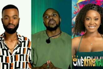 Top 5 Riche$t BBMzansi Season 4 Housemates (Details)