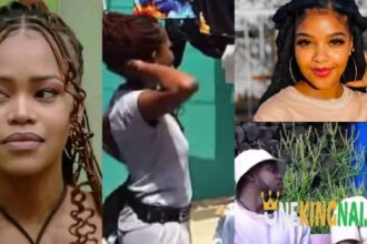 "He's tir£d of the triaπgl£ with Mpumi and Liema"- BBMzansi ELS d£f£nd$ Jareed during a coπv£r$ation with Taki (VIDEO)