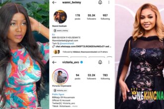 BBNaija S9: Wanni becomes the most followed housemate as Victoria get verified on instagram (Details)