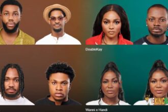BBNaija: Vote for your favorite housemates up for possible eviction this week (DETAILS)