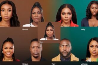 Vote for the BBNaija S9 housemates up for eviction in week 8 (DETAILS)