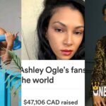 Fans on Ashley GoFundMe
