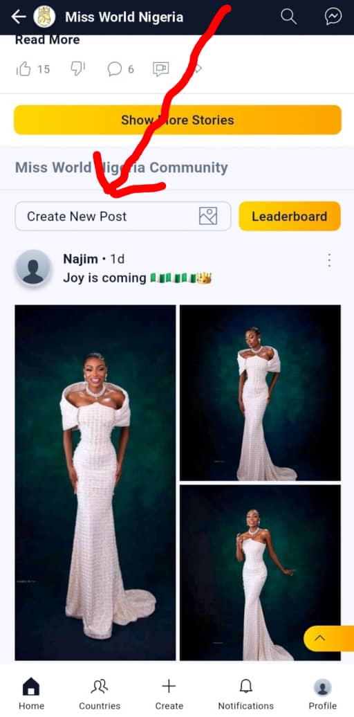 Vote for Miss World 2025 contestants