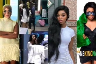 BBMzansi S4, Yolanda Mukondi Reacts To Liema Pantsi and Thandeka drama after the eviction show (Details)