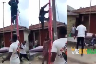 NEPA officer who went to disconnect light at an undisclosed area was pushed off the ladder by angry Nigerians. Clips trends (VIDEO)