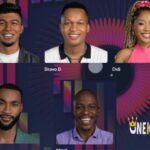 Vote for the BBMzansi S6 housemates up for eviction in week 9.